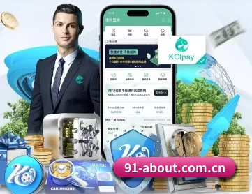 91国产 APP 深度功能