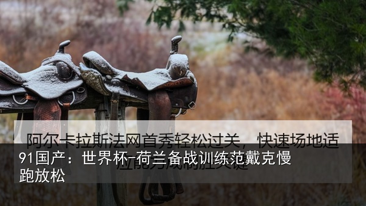 91国产：世界杯-荷兰备战训练范戴克慢跑放松