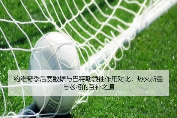 约维奇季后赛数据与巴特勒领袖作用对比：热火新星与老将的互补之道