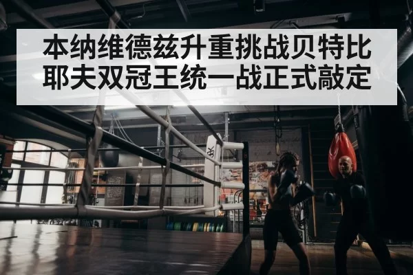 boxer training